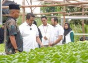 Dorong Pemberdayaan Ekonomi Lokal, PT Timah Gerakkan Program Hidroponik Bagi Kelompok Di Desa Sawang Laut