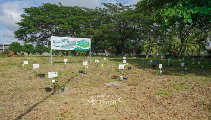 PT Timah Bersama PLN Dan METI Tanam 1500 Pohon Angsana Di Taman Energi Balai Karya